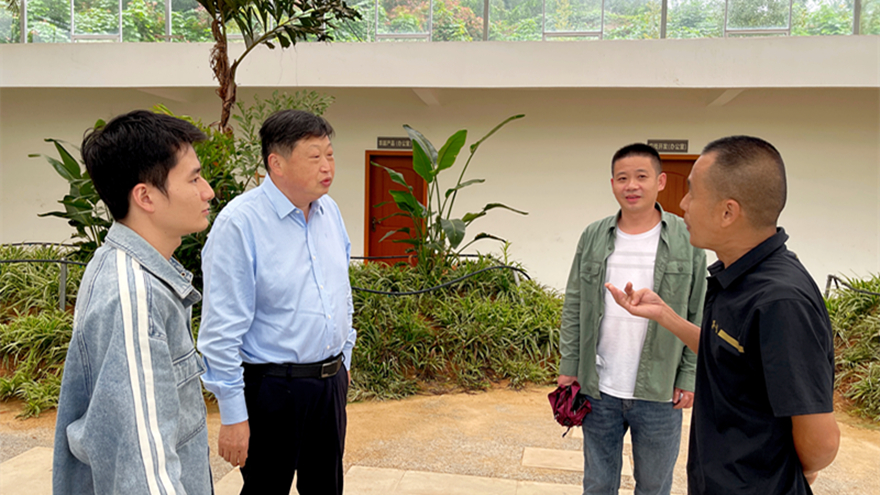 綿投集團黨委書記、董事長李桂炳調(diào)研鄉(xiāng)村振興駐村幫扶工作